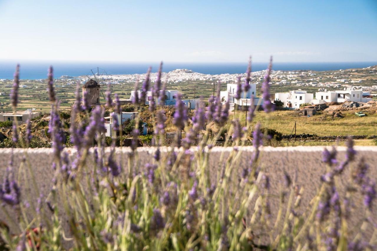 Naxos View Διαμέρισμα Γλινάδο Νάξου Εξωτερικό φωτογραφία